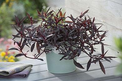 《自杀小队：战胜正义联盟》发布20分钟新预告片